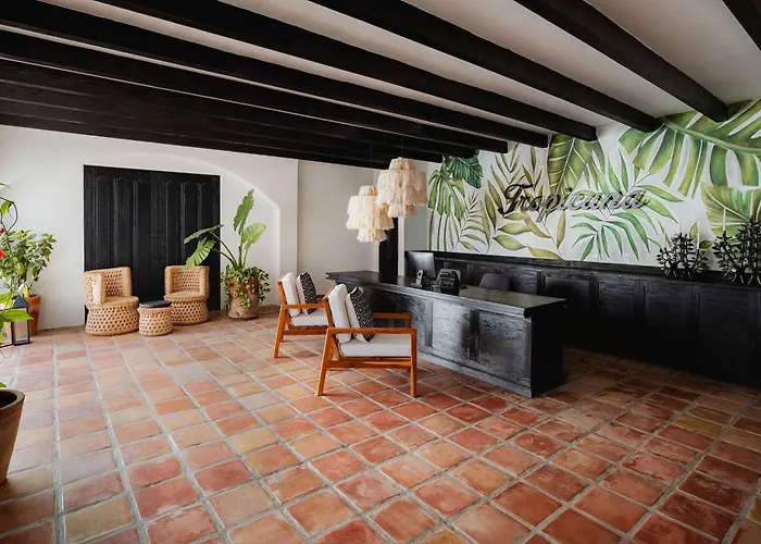 Tropicana Cabos, Tapestry Collection By Hilton 4* San Jose del Cabo
