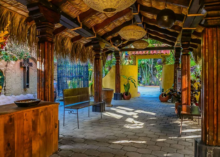 Tropicana Cabos, Tapestry Collection By Hilton