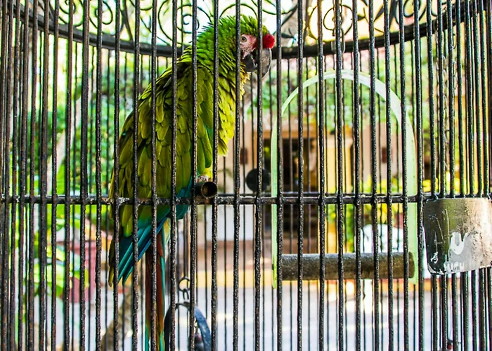 Tropicana Cabos, Tapestry Collection By Hilton
