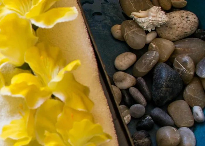 Tropicana Cabos, Tapestry Collection By Hilton San Jose del Cabo