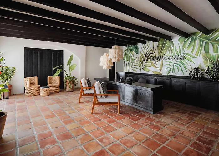 Tropicana Del Cabo Hotel